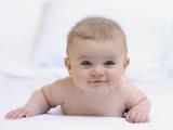 Весной 2012 года на свет появится первый малыш, зачатый с помощью одной яйцеклетки
