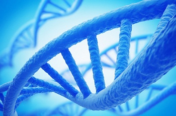 ДНК-лаборатория: уникальные генетические исследования